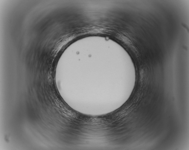 X0000100321308200806261217