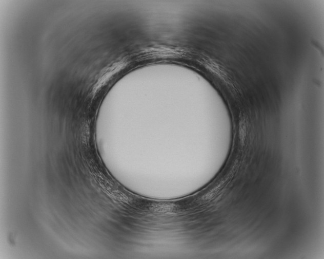 X0000100321309200806261217