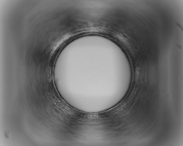 X0000100321310200806261217