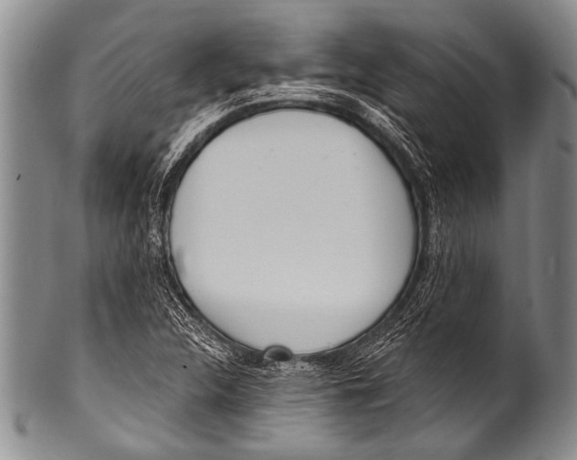 X0000100321312200806261217