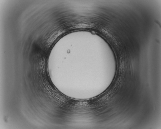 X0000100321313200806261217