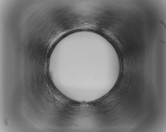 X0000100321316200806261217