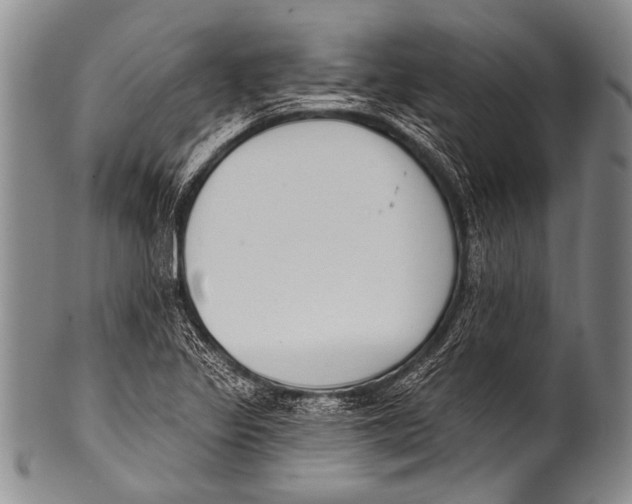 X0000100321317200806261217