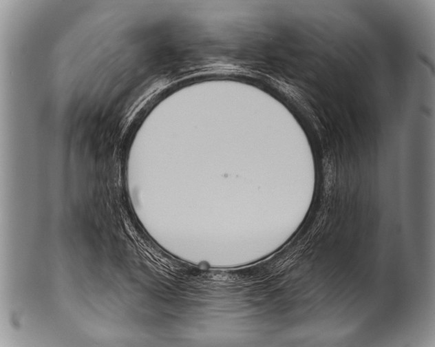 X0000100321318200806261217