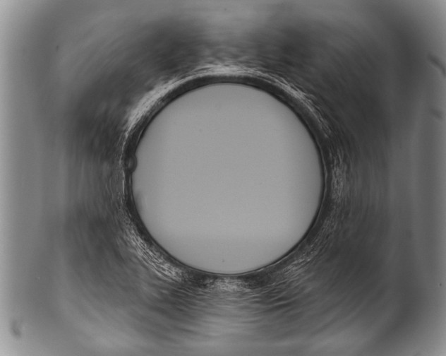 X0000100321319200806261217