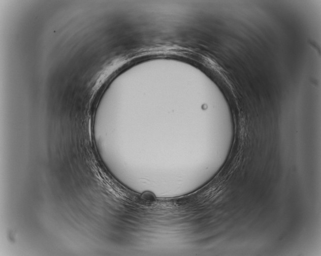 X0000100321320200806261217