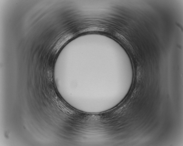 X0000100321321200806261217