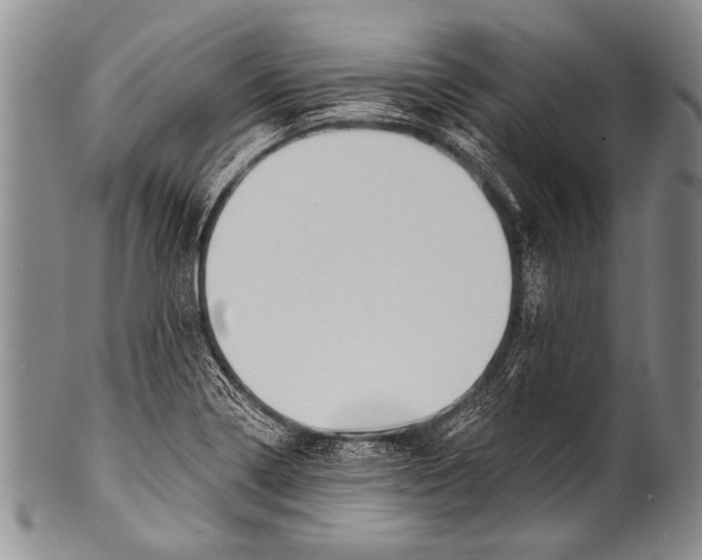 X0000100321322200806261217