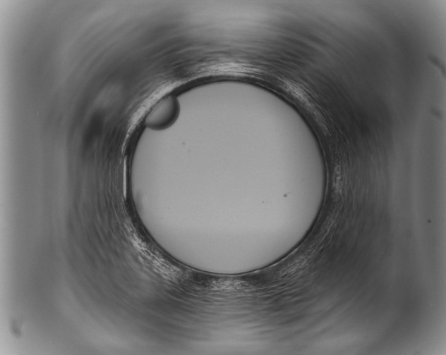 X0000100321323200806261217