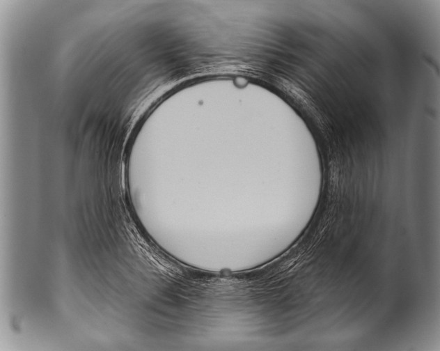 X0000100321324200806261217