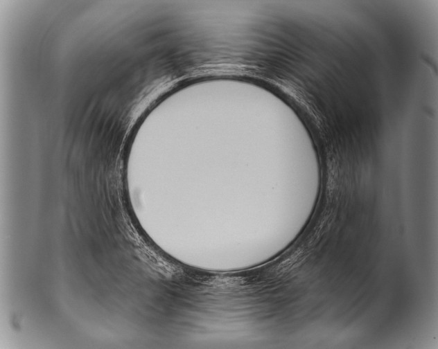 X0000100321325200806261217