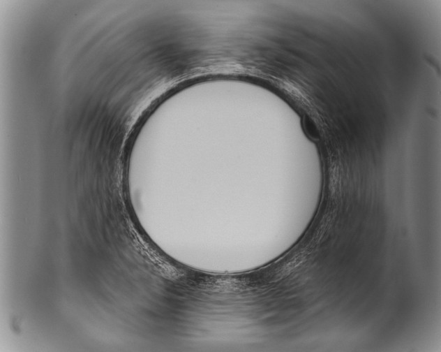 X0000100321326200806261217