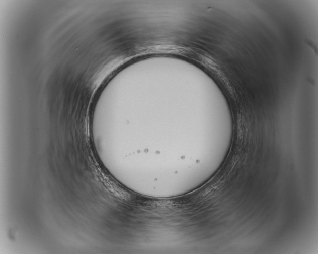 X0000100321328200806261217