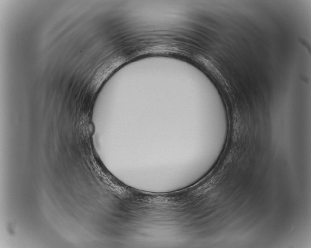 X0000100321329200806261217