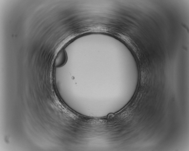 X0000100321331200806261217