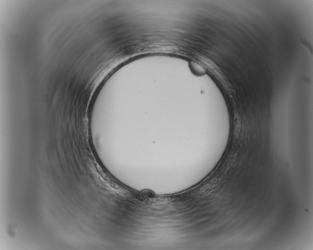 X0000100321332200806261217