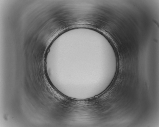 X0000100321333200806261217