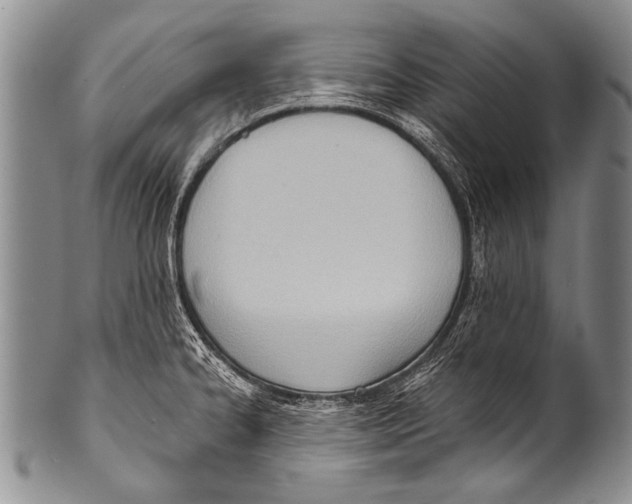 X0000100321334200806261217