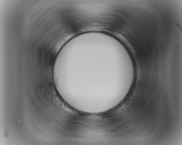 X0000100321337200806261217