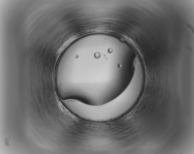 X0000100321338200806261217