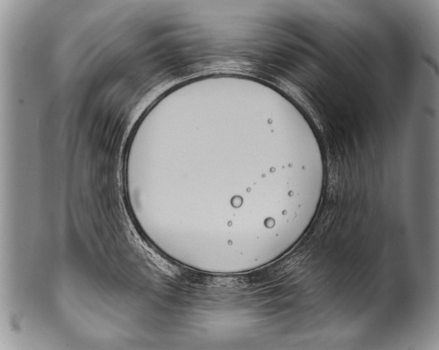 X0000100321339200806261217