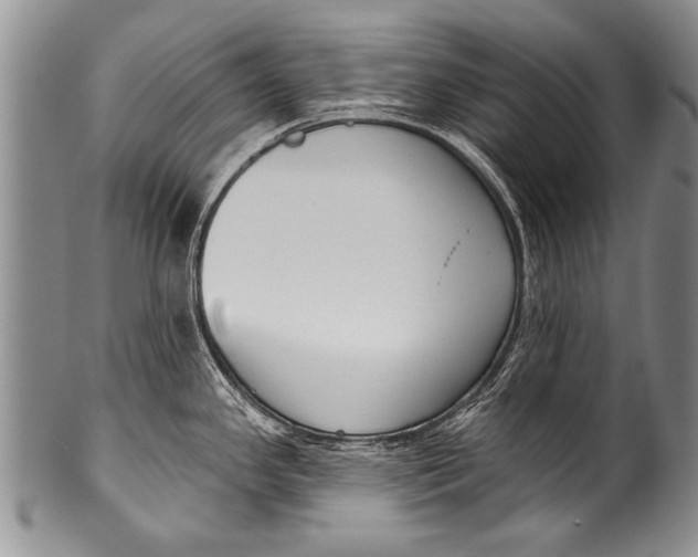 X0000100321341200806261217