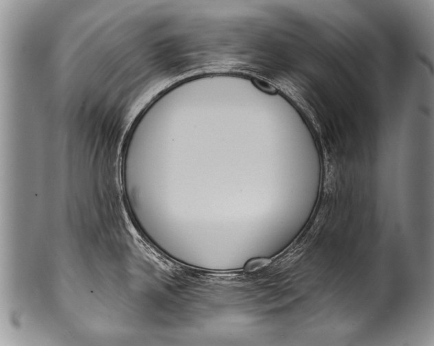 X0000100321342200806261217