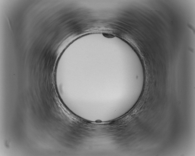 X0000100321344200806261217