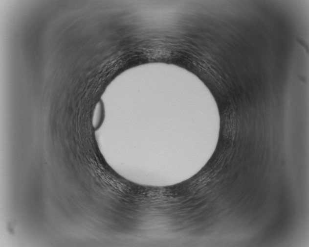 X0000100321345200806261217