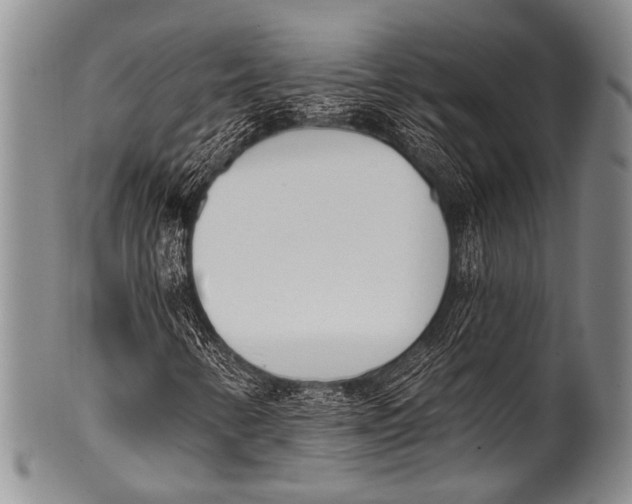 X0000100321346200806261217