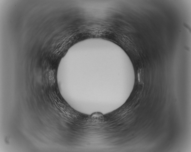 X0000100321347200806261217