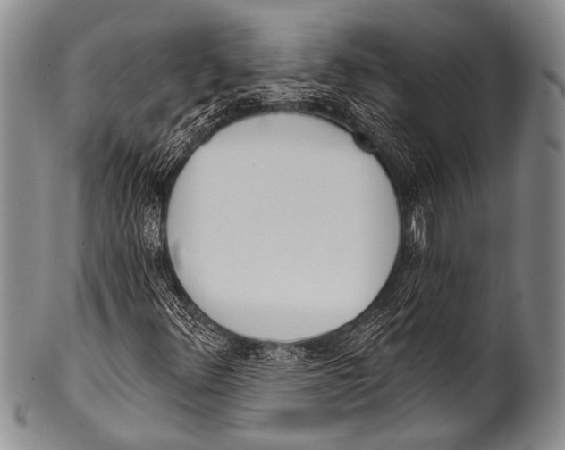 X0000100321348200806261217