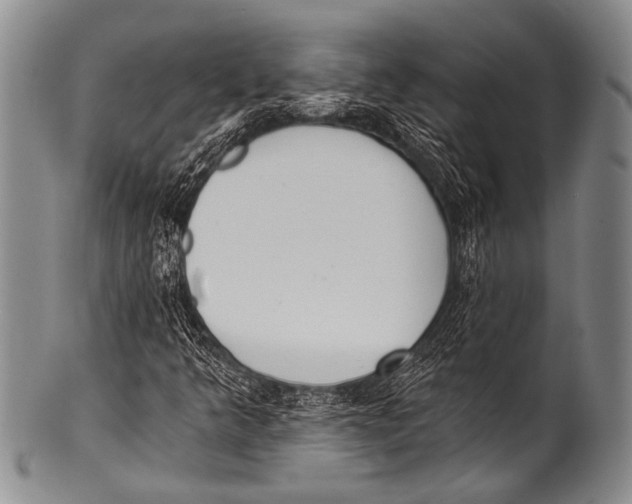 X0000100321349200806261217