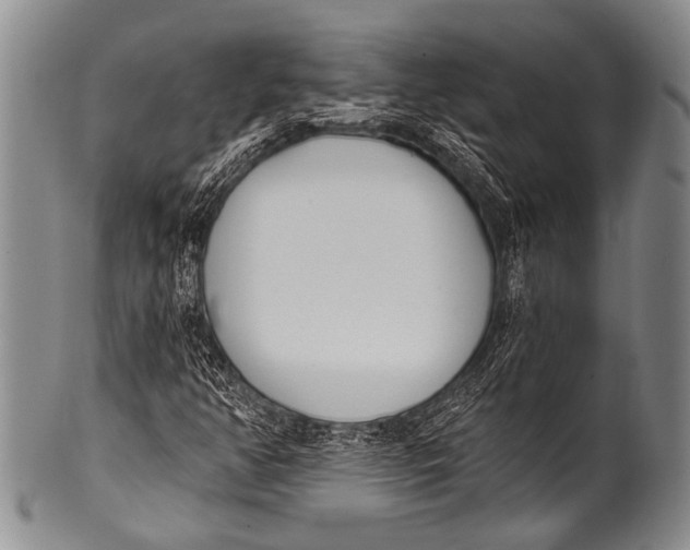 X0000100321350200806261217