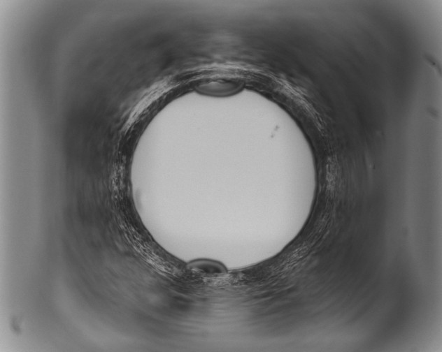 X0000100321352200806261217