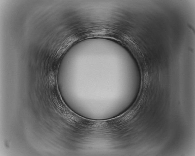 X0000100321353200806261217