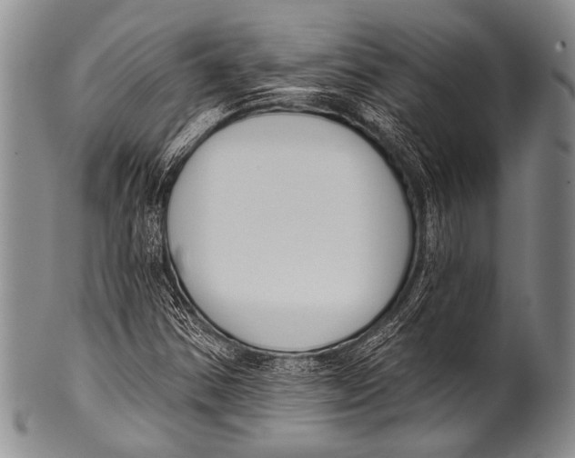 X0000100321354200806261217