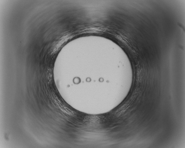 X0000100321355200806261217