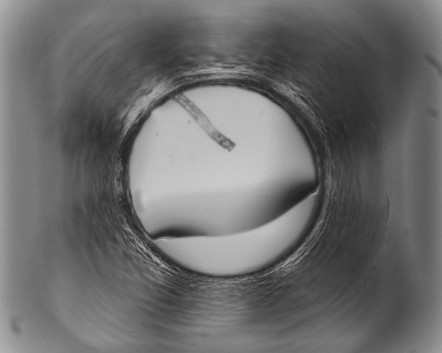 X0000100321357200806261217