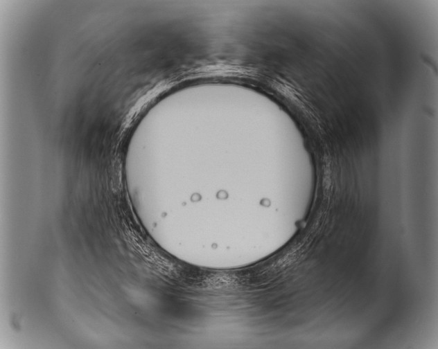 X0000100321358200806261217