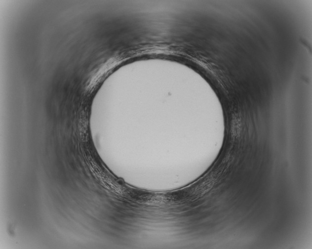 X0000100321359200806261216