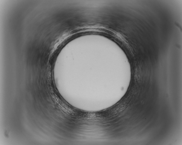 X0000100321360200806261216