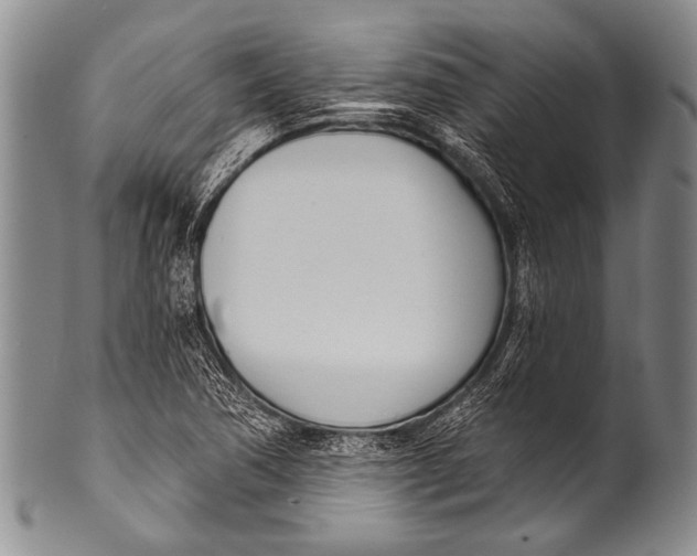 X0000100321362200806261216