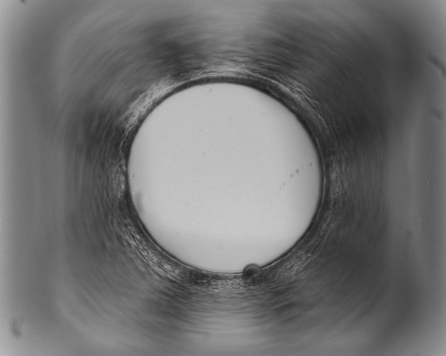 X0000100321363200806261216