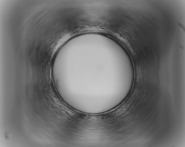 X0000100321365200806261216