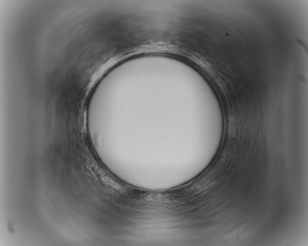 X0000100321366200806261216