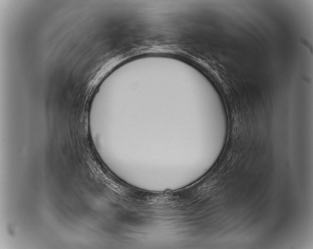 X0000100321367200806261216