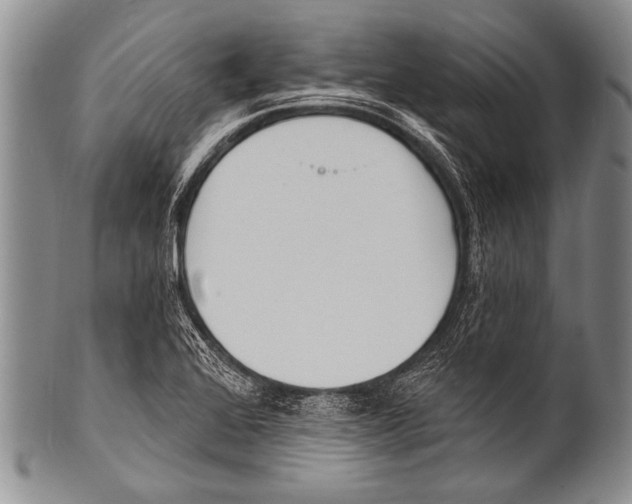 X0000100321368200806261216