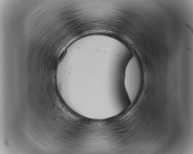 X0000100321369200806261216