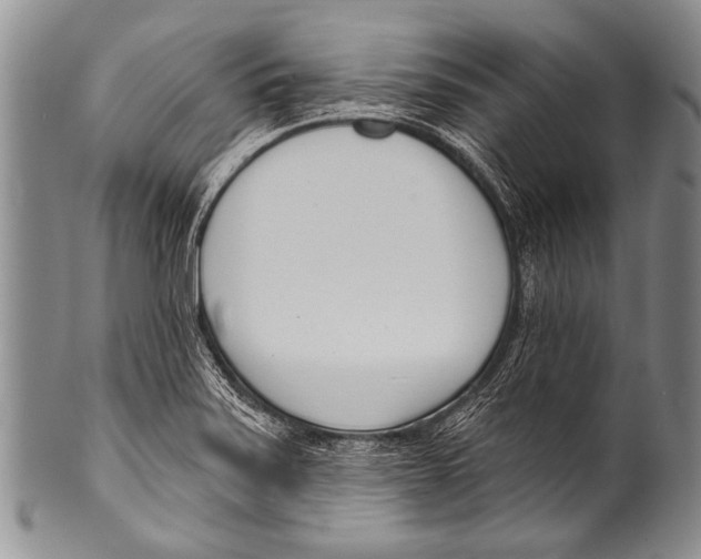 X0000100321371200806261216